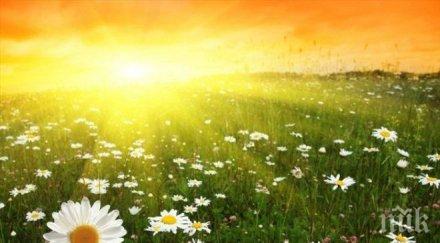 близо 780 души япония били хоспитализирани заради високите температури