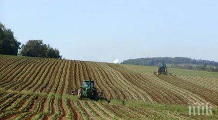 кабинетът даде млн дфз разходи проекти общини