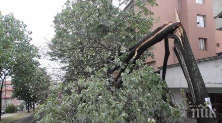 оранжев код силни гръмотевични бури градушки