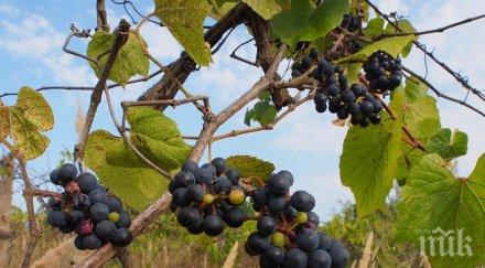 продават незавършена къща млн долара