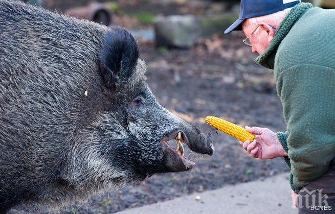 Нахален глиган ухапа двама в дома им