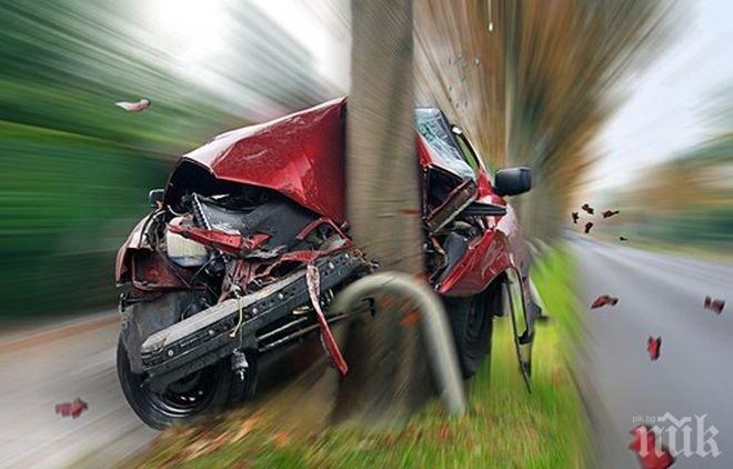 Тежка катастрофа във Видинско! Ауди се натресе в дърво, шофьорът загина