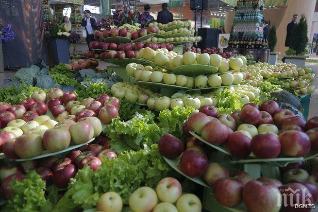 Ще изчезнат ли българските плодове и зеленчуци заради безмитния внос от Молдова