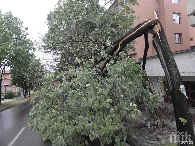 Оранжев код за силни гръмотевични бури и градушки