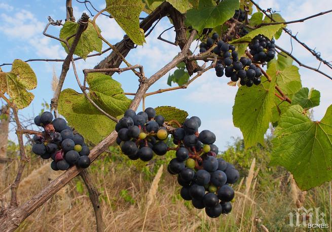 Продават незавършена къща за 38 млн. долара