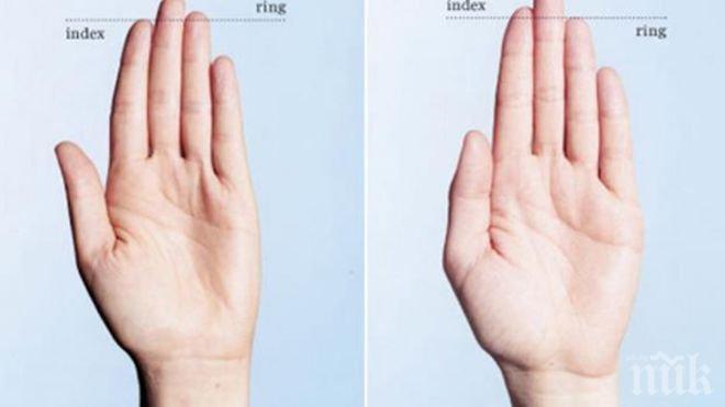 Дължината на пръстите на мъжа разкрива неподозирани тайни
