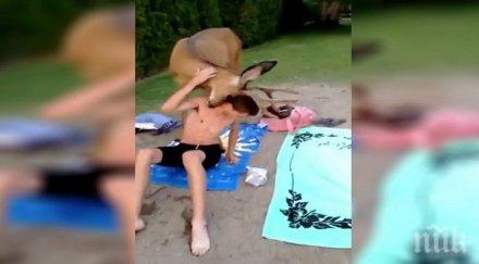 двойка отдъхва сред природата едно време тях присъединил необикновен гост