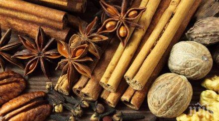 канелата помага борбата рак