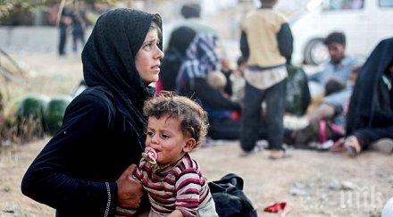 оон млн имигранти напуснали домовете 2014