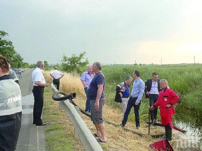 Кметът на Бургас спаси змия от замърсените с бензин води