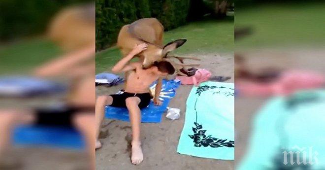 Двойка си отдъхва сред природата. По едно време към тях се присъединил необикновен гост