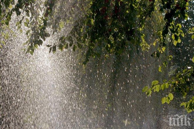 Наводниха се къщи в Старозагорско след проливните дъждове