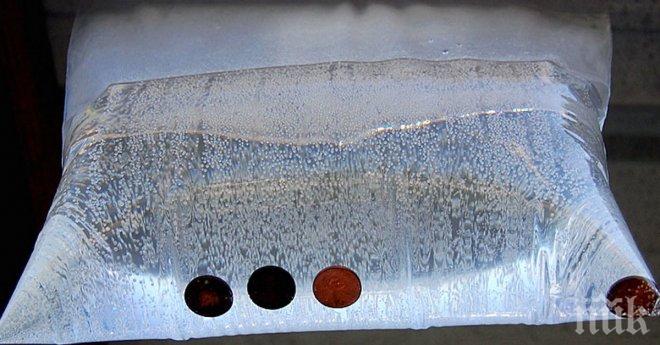 Прости и евтини трикове, които ще те избавят от проблема с насекомите