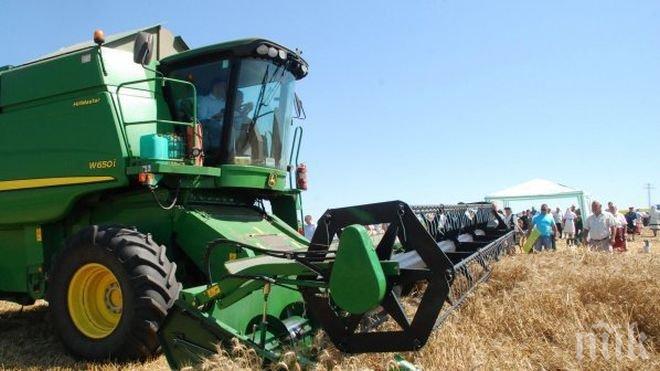 Най-богата кметица натрупала милиони с агробизнес