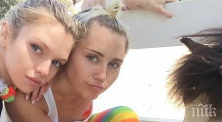 майли сайръс гадже модела стела максуел