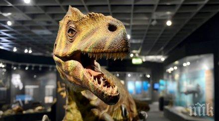 апокалипсис биолози алармират започнало шестото масово измиране видове планетата