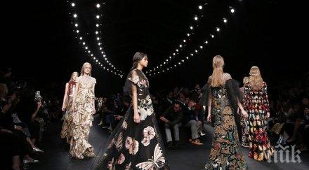 дизайнери създадоха вълшебна колекция пътувания почивка