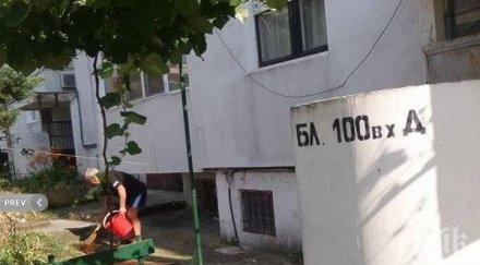 лична драма баба хвърли етаж дома бургаския меден рудник снимки