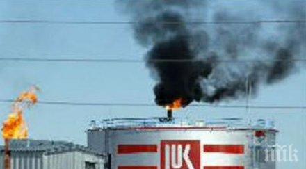 василева глоба всеки мъртъв екземпляр защитен вид