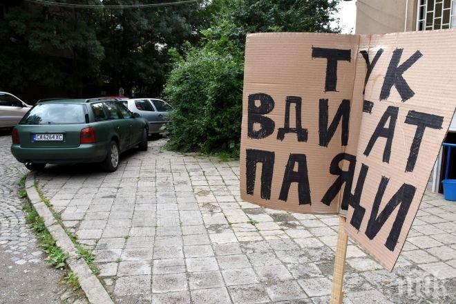 Табела предупреждава за опасност от паяци в столичния Лозенец (снимки)