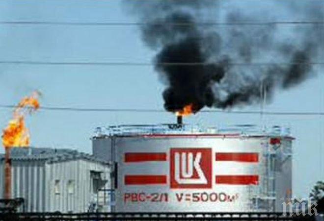 Василева: Глоба за всеки мъртъв екземпляр от защитен вид