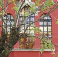 Роми превзеха дома на консула ни в Шанхай в центъра на София