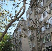 Разкриха фрапиращи нарушения при регистрации по настоящ адрес в няколко града