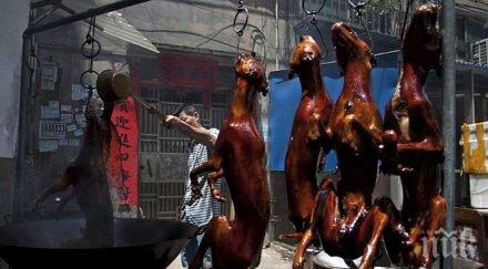 китайка спаси сто кучета казана