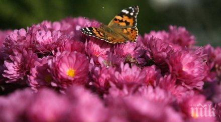 експонати биомузей кацат посетителите въприемат растения