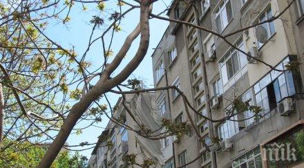 разкриха фрапиращи нарушения регистрации настоящ адрес няколко града