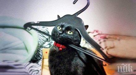 учените доказали гледането видеоклипове влияе добре