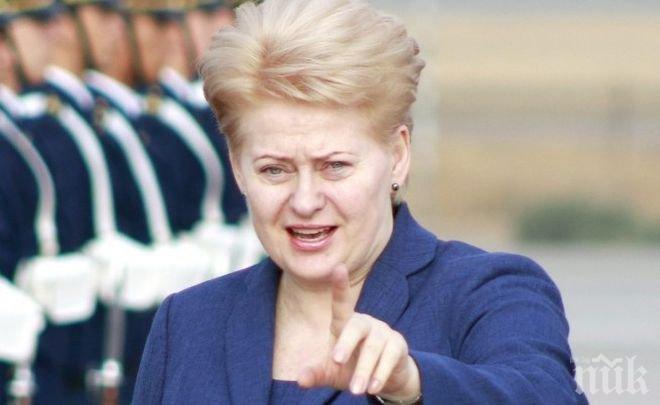 Президентът на Литва нападна гърците в „Туитър“