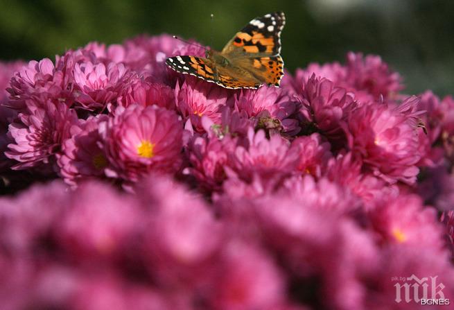 Експонати в биомузей кацат по посетителите, въприемат ги като растения
