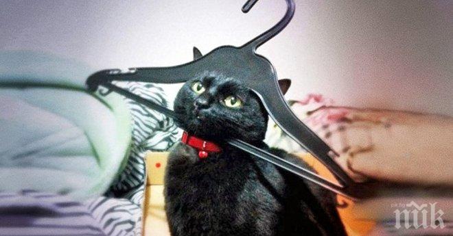 Учените са доказали, че гледането на видеоклипове влияе добре
