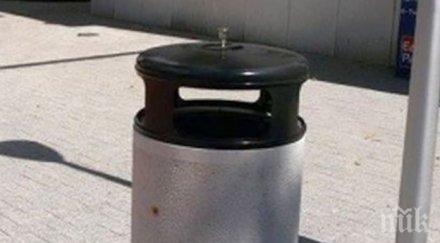 новите кошчета варна защита гларусите