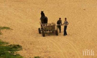 швейцария дава млн франка интеграция ромите