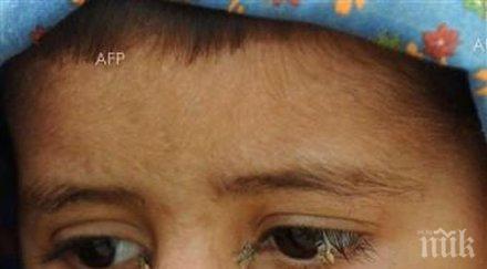 индипендънт глад епидемии чакат човечеството 2040