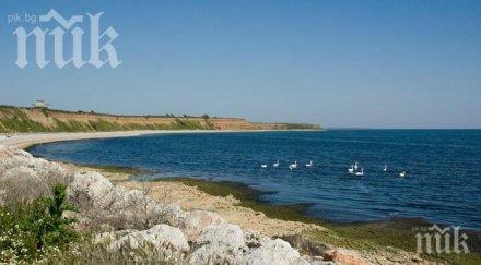 хвърлянето телевизор прозореца хотела новата мания черноморието