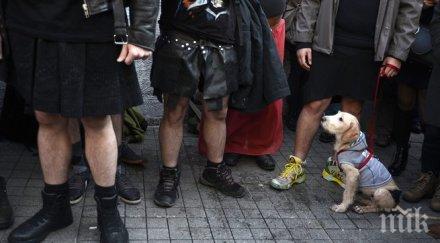 колеж кеймбридж позволи мъжете носят поли