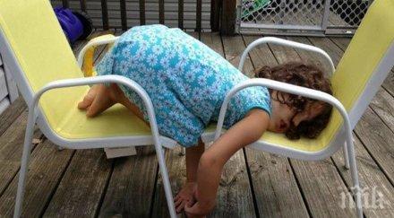 обичат поспиват необичайни пози определено заслужават твоето внимание