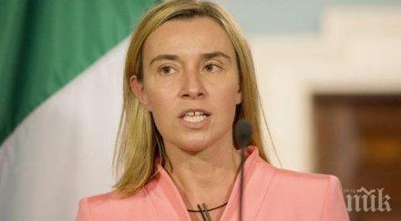 шекеринска срещна могерини брюксел