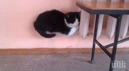 снимки заблудят успешно гаранция