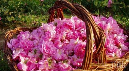 казанлък отбелязаха еньовден ритуали песни наричания