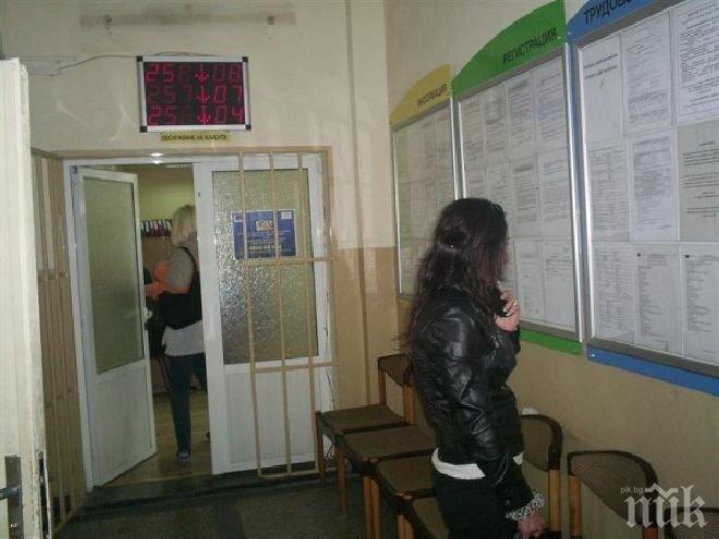 250 души във Видин започват работа до дни