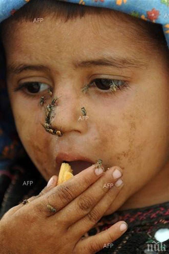 “Индипендънт”: Глад и епидемии чакат човечеството до 2040 г