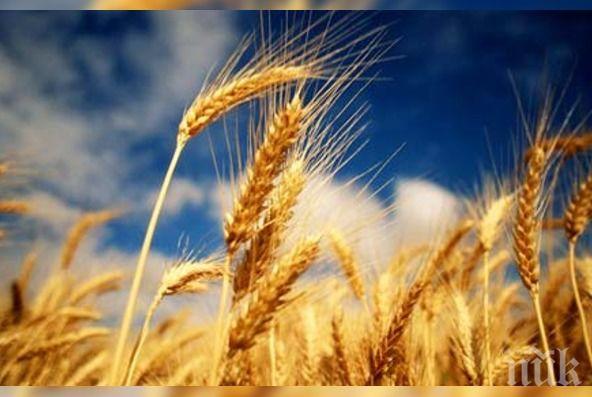 Над 115 000 земеделски стопани са кандидатствали за директни плащания