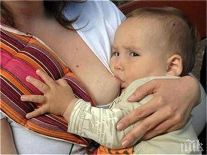 Врачанки пласират кърмата си в нета