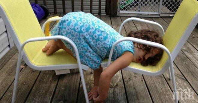 Те обичат да си поспиват в необичайни пози, определено заслужават твоето внимание!