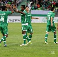 Лудогорец заминава за Австрия в петък на обяд