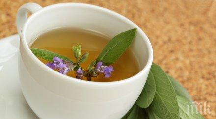 пробив китайска билка убива рак панкреаса дни